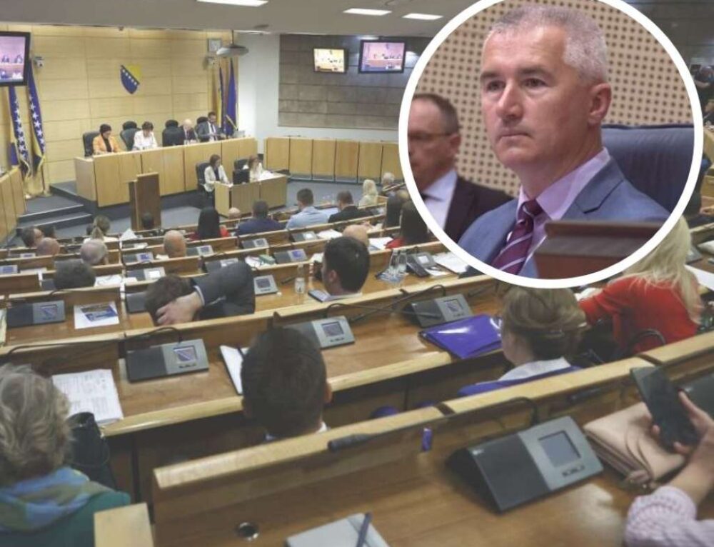 marin_vukoja-500×383@2x