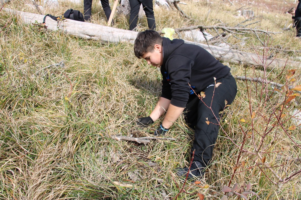 boran-a_ Pošimljavanje_rujište