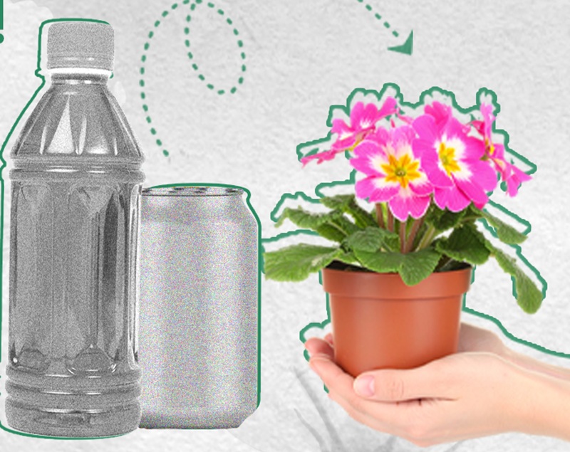 donesi pet odnesi cvijet-